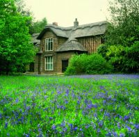 Kew 80 Queen Charlottes Cottage